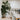 Creating premium plant schemes: our process