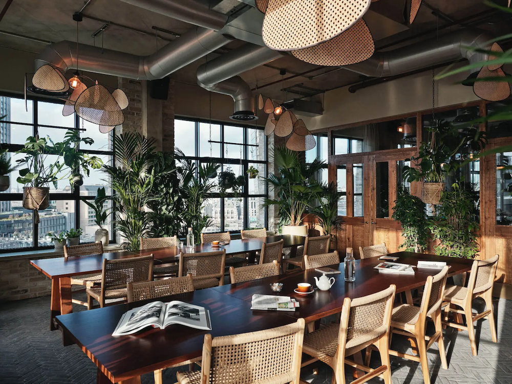 Large meeting room with plants
