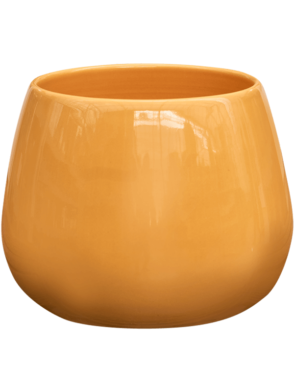 Cielo - Ocher