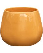 Cielo - Ocher