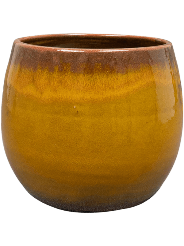 Charlotte Pot - Ochre