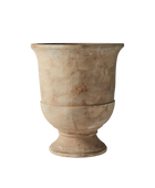 Talia Cup