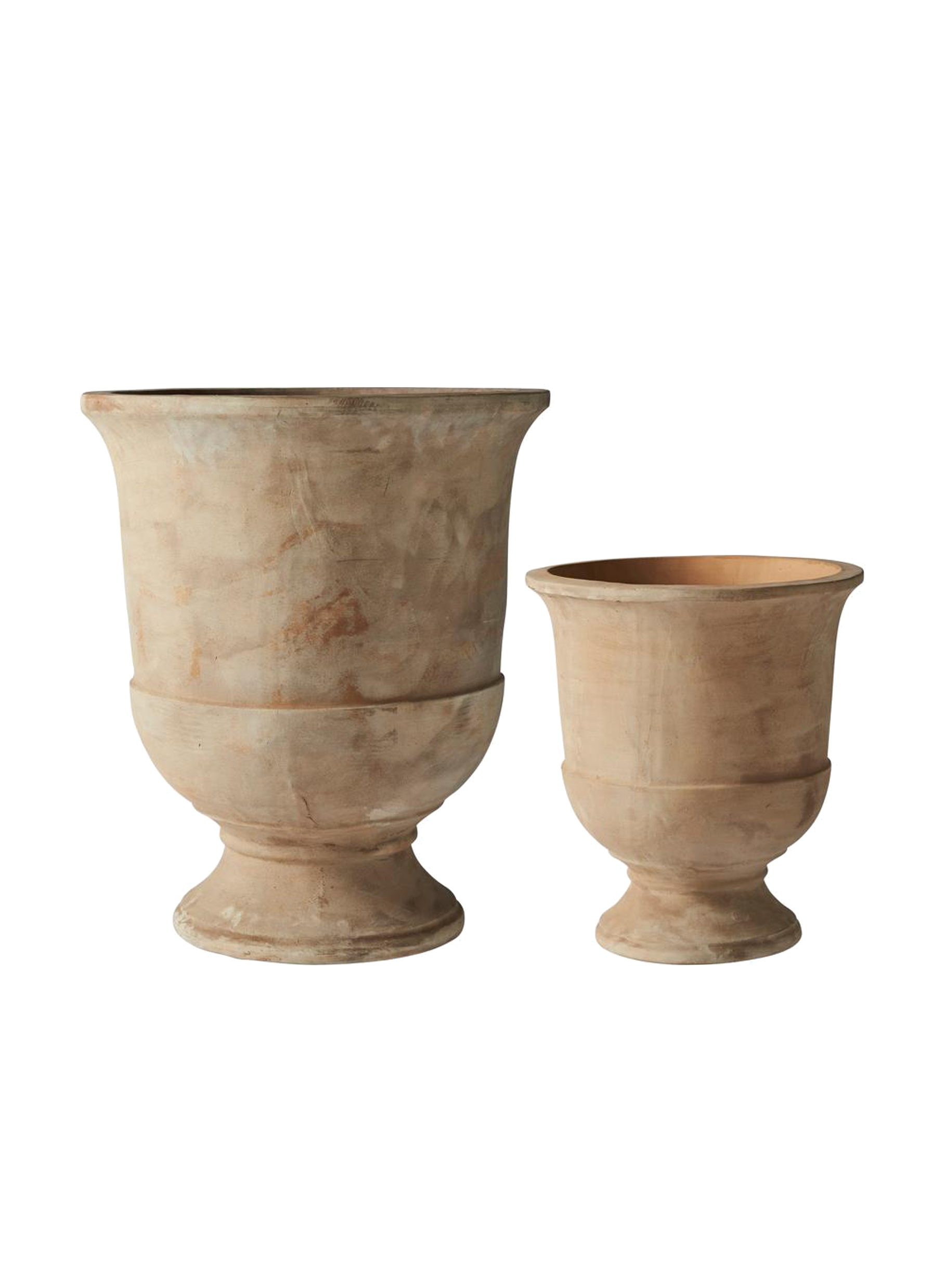 Talia Cup