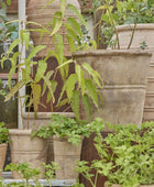 Patricia clay pots