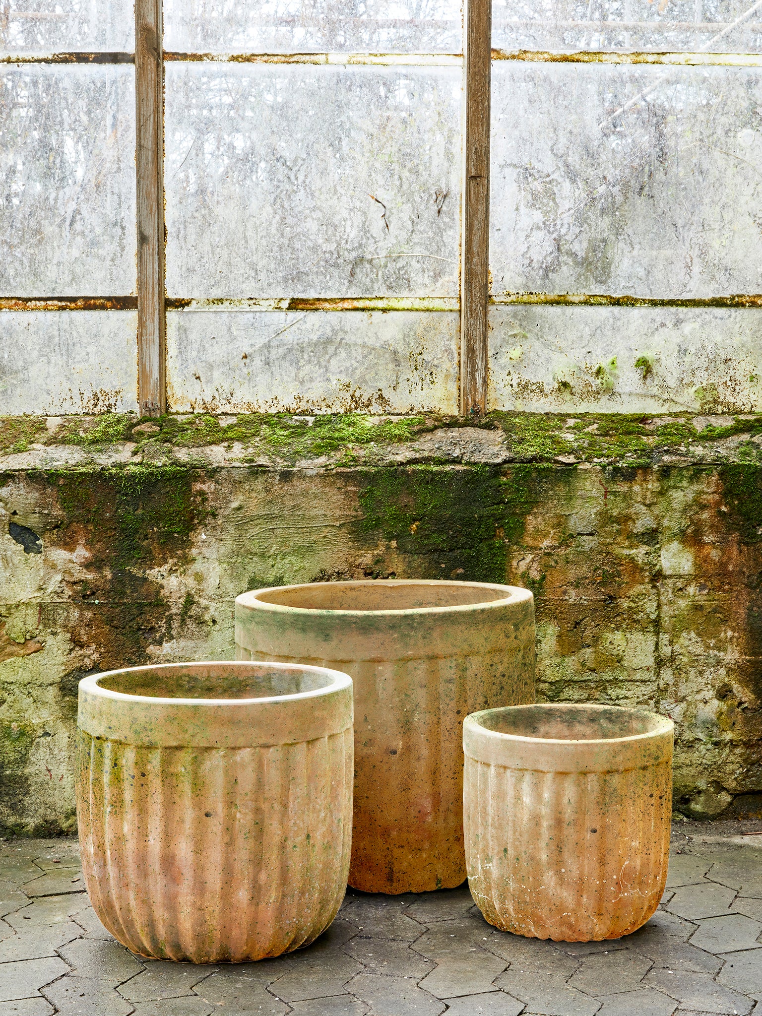 Elisa planter